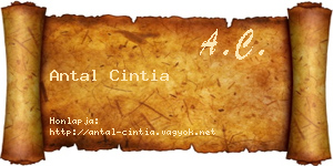 Antal Cintia névjegykártya