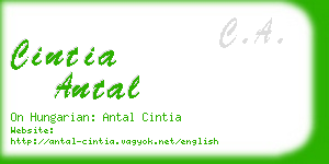 cintia antal business card